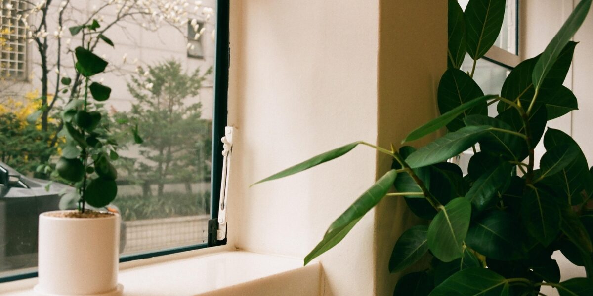 Pellicole anti caldo Pellicole anti caldo