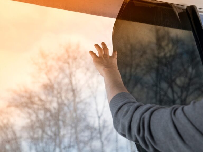 Pellicole elettrostatiche o adesive